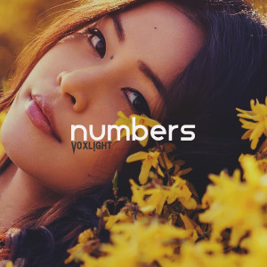 收听Voxlight的Numbers歌词歌曲