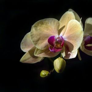 Dengarkan lagu A Lonely Day nyanyian Rain Sounds dengan lirik