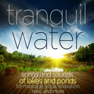 Various Artists的專輯Tranquil Water - Songs and Sounds of Lakes and Ponds for Massage, Yoga, Relaxation Reiki, And More