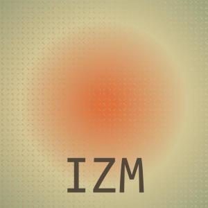 อัลบัม Izm ศิลปิน Various Artists