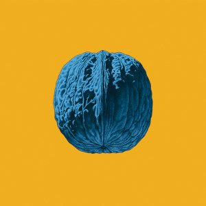 的專輯L'Albero Delle Noci (Explicit)