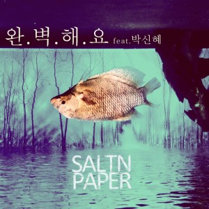Listen to 完美 (Feat. 朴信惠) song with lyrics from 솔튼페이퍼