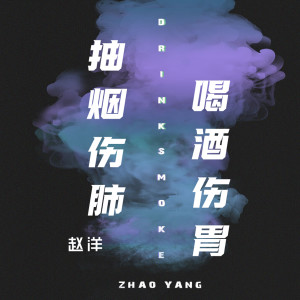 Listen to 抽烟伤肺喝酒伤胃 (DJ版) song with lyrics from 赵洋