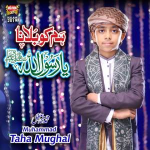 Dengarkan Hum KO Bulana Ya Rasool Allah lagu dari Muhammad Taha Mughal dengan lirik