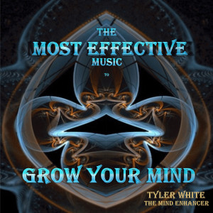 Listen to Mind Protection ( DJ Waldeck) song with lyrics from Tyler White – The Mind Enhancer