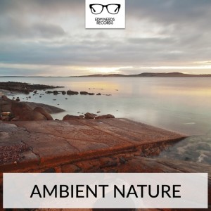 ดาวน์โหลดและฟังเพลง Mirror Man (Original Mix) พร้อมเนื้อเพลงจาก Mic Norberg