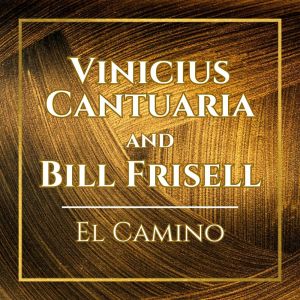 Listen to Lagrimas Mexicanas song with lyrics from Vinicius Cantuaria