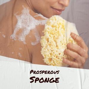 Album Prosperous Sponge from 