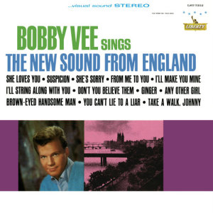 ดาวน์โหลดและฟังเพลง Any Other Girl พร้อมเนื้อเพลงจาก Bobby Vee