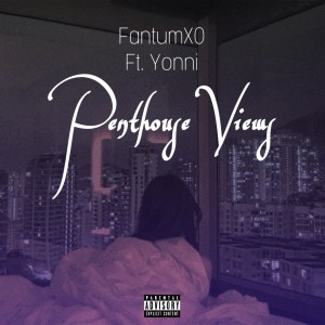 fantumxo的專輯Penthouse views (feat. Yonni)
