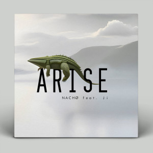 Album Arise oleh elsewhere