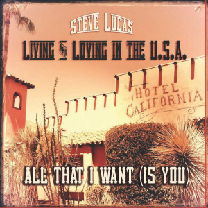 Steve Lucas的專輯Living and Loving in the USA