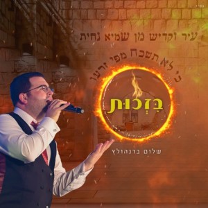 Album בזכות from שלום ברנהולץ