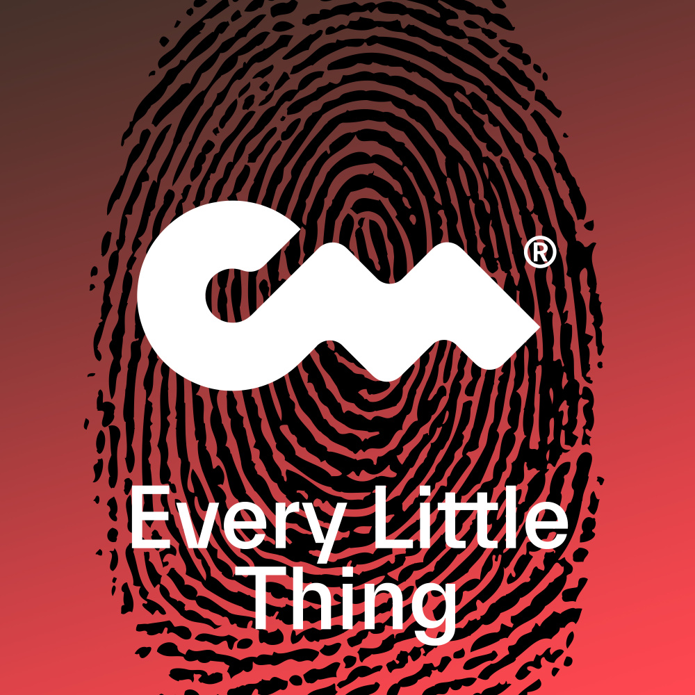Every Little Thing