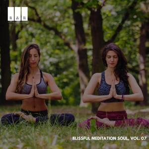 收听Anandaa Medilion的Divine Wellness Meditation歌词歌曲