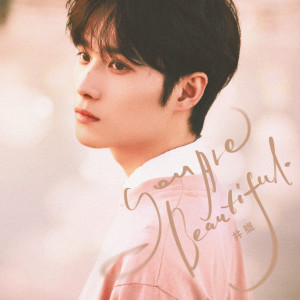 Album You are beautiful (我会永远永远的爱你) oleh 井胧