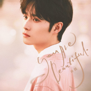 อัลบัม You are beautiful (我会永远永远的爱你) ศิลปิน Jing Long