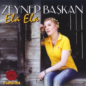 Listen to Ayağın Taşa Değer song with lyrics from Zeynep Başkan