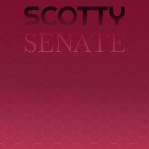 Various Artists的專輯Scotty Senate