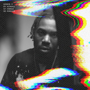 Listen to On Purpose (feat. Pitbull & 40 Cobras) (Explicit) song with lyrics from Dougie F