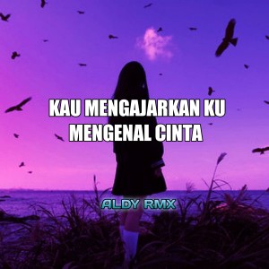 Dengarkan KAU MENGAJARKAN KU MENGENAL CINTA lagu dari ALDY RMX dengan lirik