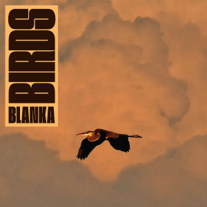 Listen to Mystic Seagull song with lyrics from Blanka