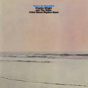 收聽Charles Wright&The Watts 103rd Street Rhythm Band的You're so Beautiful歌詞歌曲