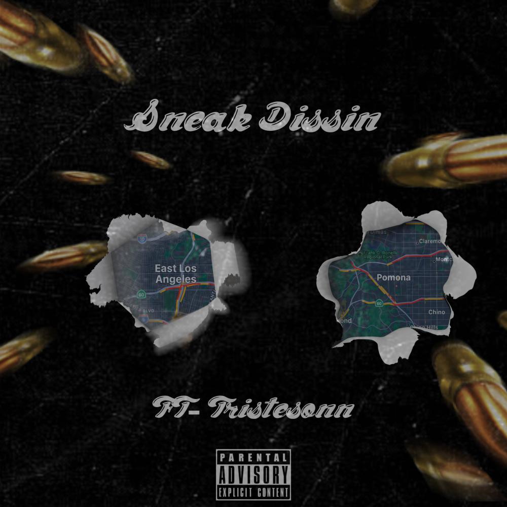 Sneak Dissin (feat. Tristesonn) (Explicit)