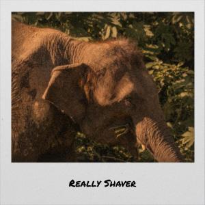 ดาวน์โหลดและฟังเพลง Missed Yonder พร้อมเนื้อเพลงจาก Jonina Osse