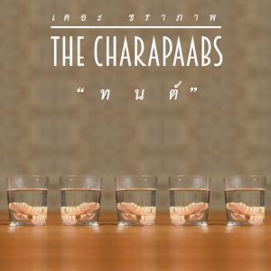 Album ทนต์ (Tooth and Truth) from The Charapaabs