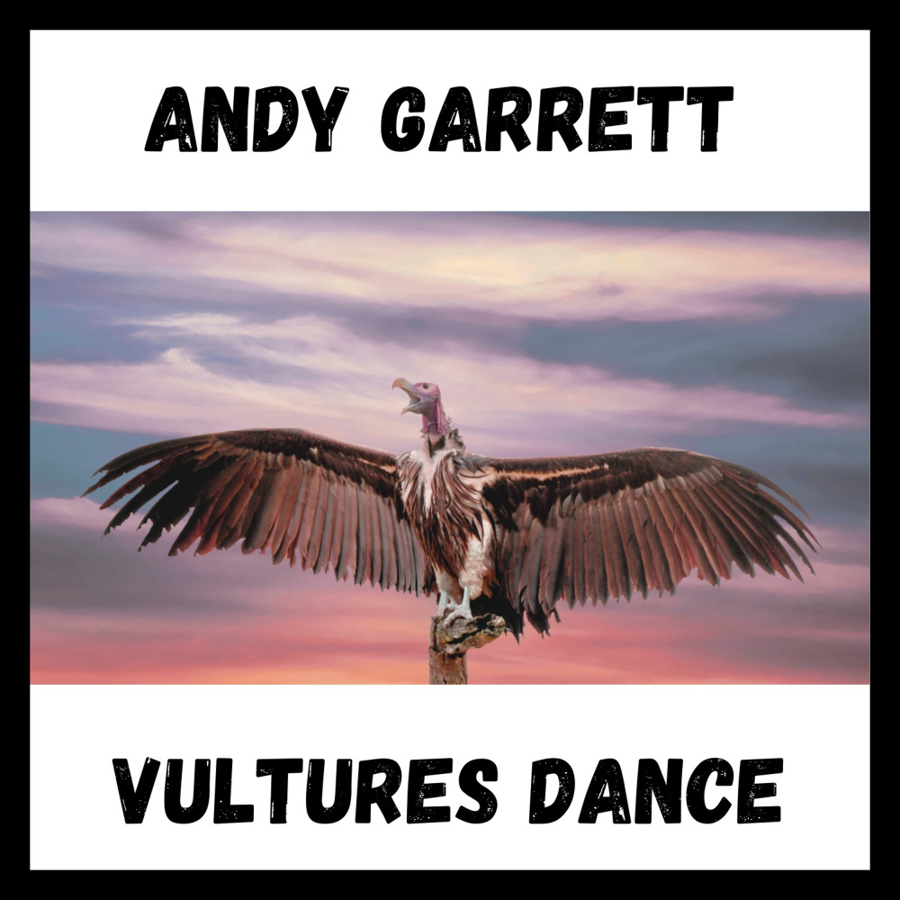 Vultures Dance (Stringmaster Bonus Track)