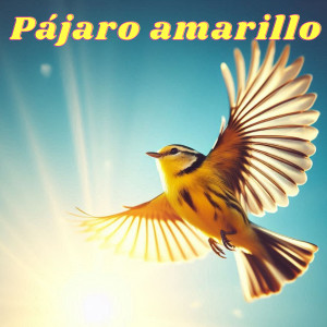 crossover的專輯Pájaro Amarillo