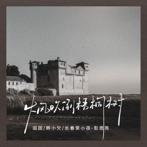 Album 大风吹倒梧桐树（生活语录版） from 田园