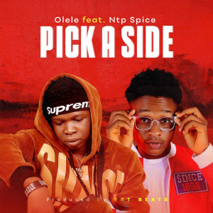 Listen to Pick a Side song with lyrics from Olele