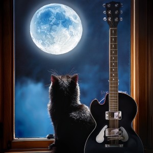 default playlist img