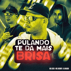 Album Pulando Te da Mais Brisa (Explicit) oleh DJ MAGRO