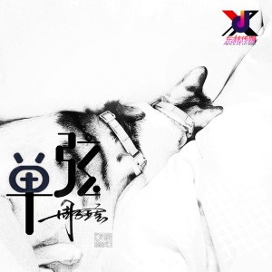 周律的專輯單絃