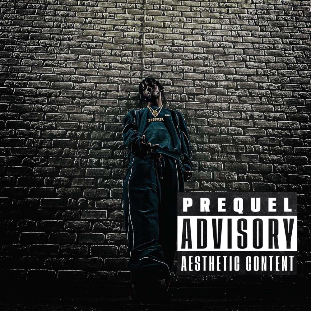W.T.U.S.L (feat. Ty gore) (Explicit)