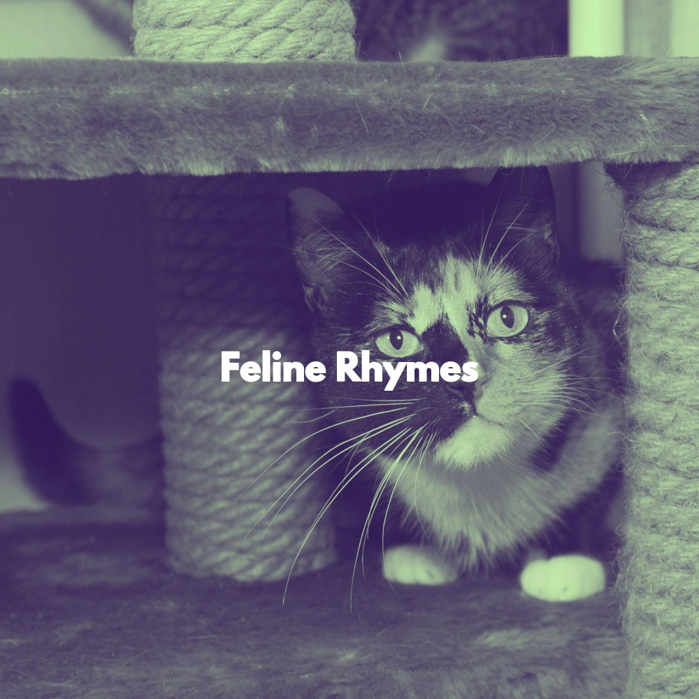 Pulsating Ambiance for Moody Kittens