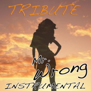 Album Mr. Wrong (Mary J. Blige feat. Drake Instrumental Tribute) from The Singles