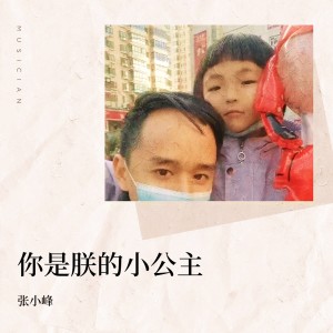 Listen to 你是朕的小公主 (完整版) song with lyrics from 张小峰