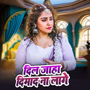 Listen to Dil Jaha Lage Dimag Na Lage song with lyrics from Deepak Sawariya