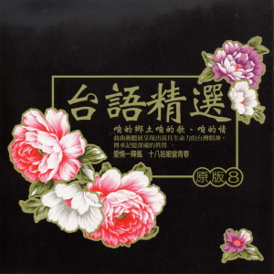 Album 台語精選原版 8 from Ye Qi Tian (叶启田)