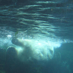 ดาวน์โหลดและฟังเพลง One Day พร้อมเนื้อเพลงจาก Solarie