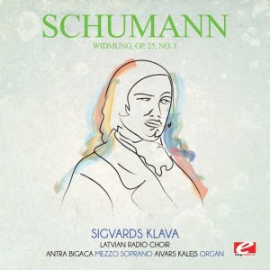 ดาวน์โหลดและฟังเพลง Widmung, Op. 25, No. 1 พร้อมเนื้อเพลงจาก Latvian Radio Choir