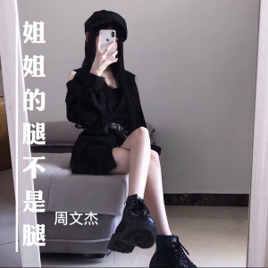 ดาวน์โหลดและฟังเพลง 姐姐的腿不是腿 พร้อมเนื้อเพลงจาก 周文杰