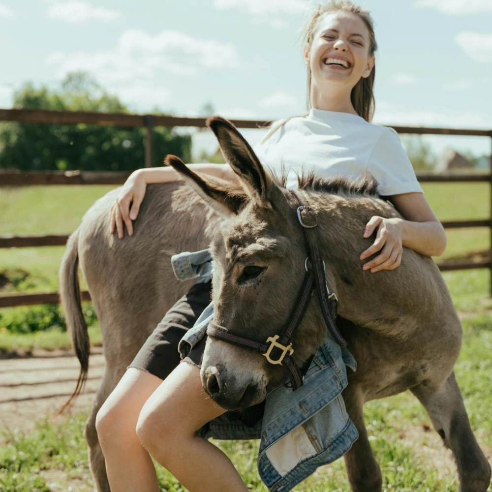 Limp Like Donkey (Explicit)
