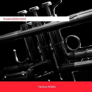 Album Insensiblement from Django Reinhardt