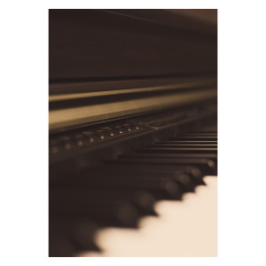 Feline Harmony: Piano Serenade Caress