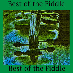 ดาวน์โหลดและฟังเพลง Jazz Violin Blues พร้อมเนื้อเพลงจาก Best of the Fiddle